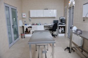 veterinary clinics cost segregation